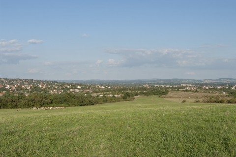 Szentendre Kőhegy - plot with construction permit