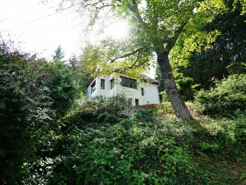 Charming House in the Danube Bend